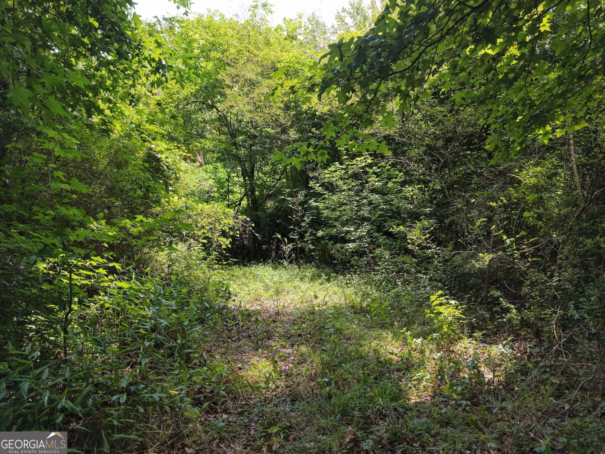 390 Edwards Road Property Photo 40