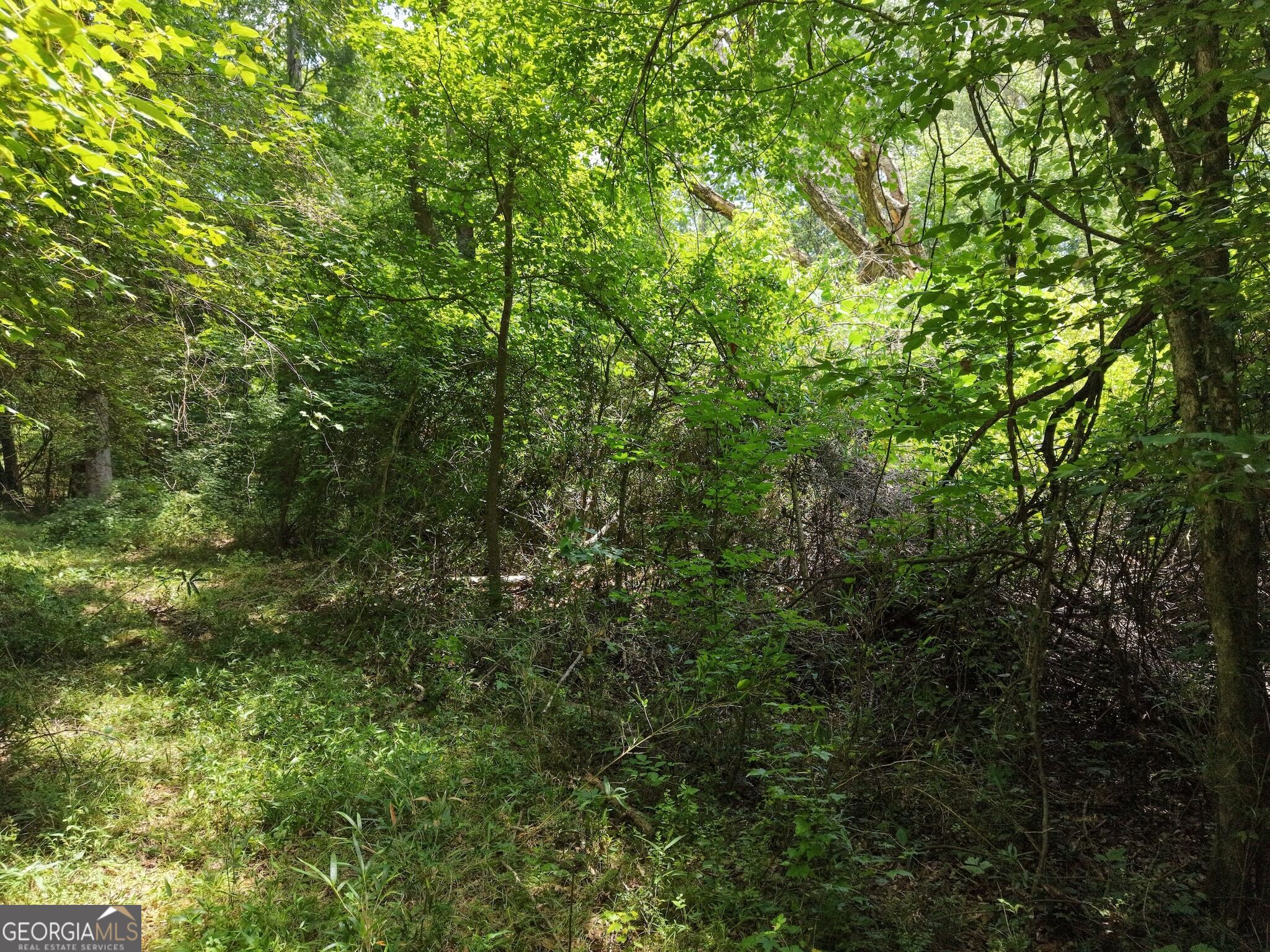390 Edwards Road Property Photo 41