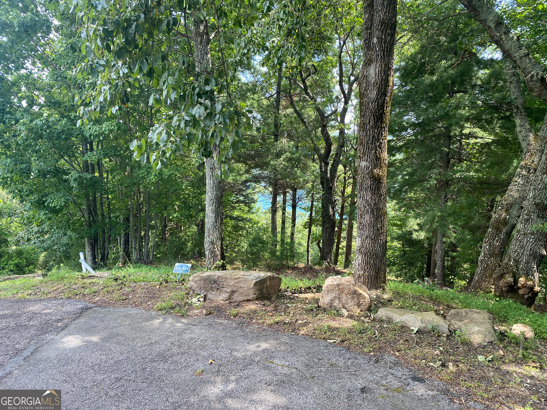 Lot 29 Lake Rabun Bluffs Drive Property Photo 1
