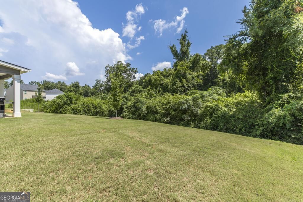 111 Corn Field Circle Property Photo 42