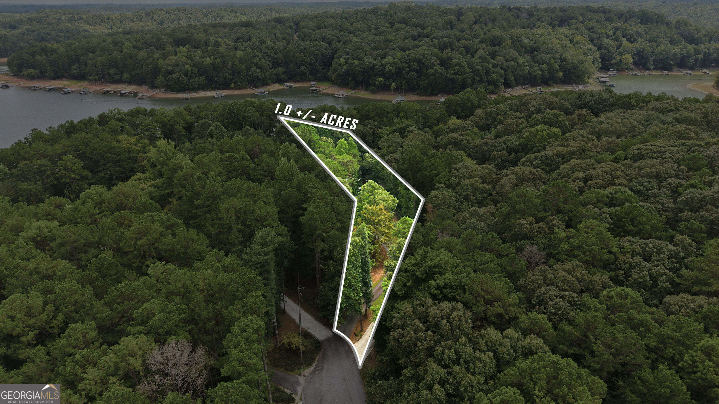 675 Currahee Ridge Road Property Photo 63