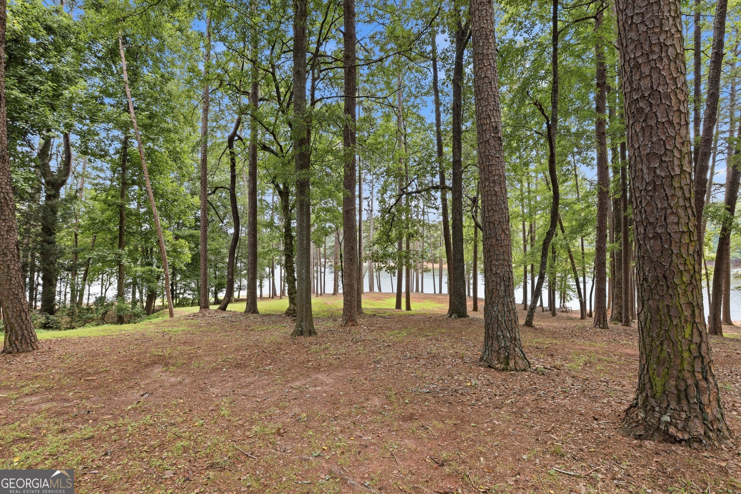 675 Currahee Ridge Road Property Photo 63