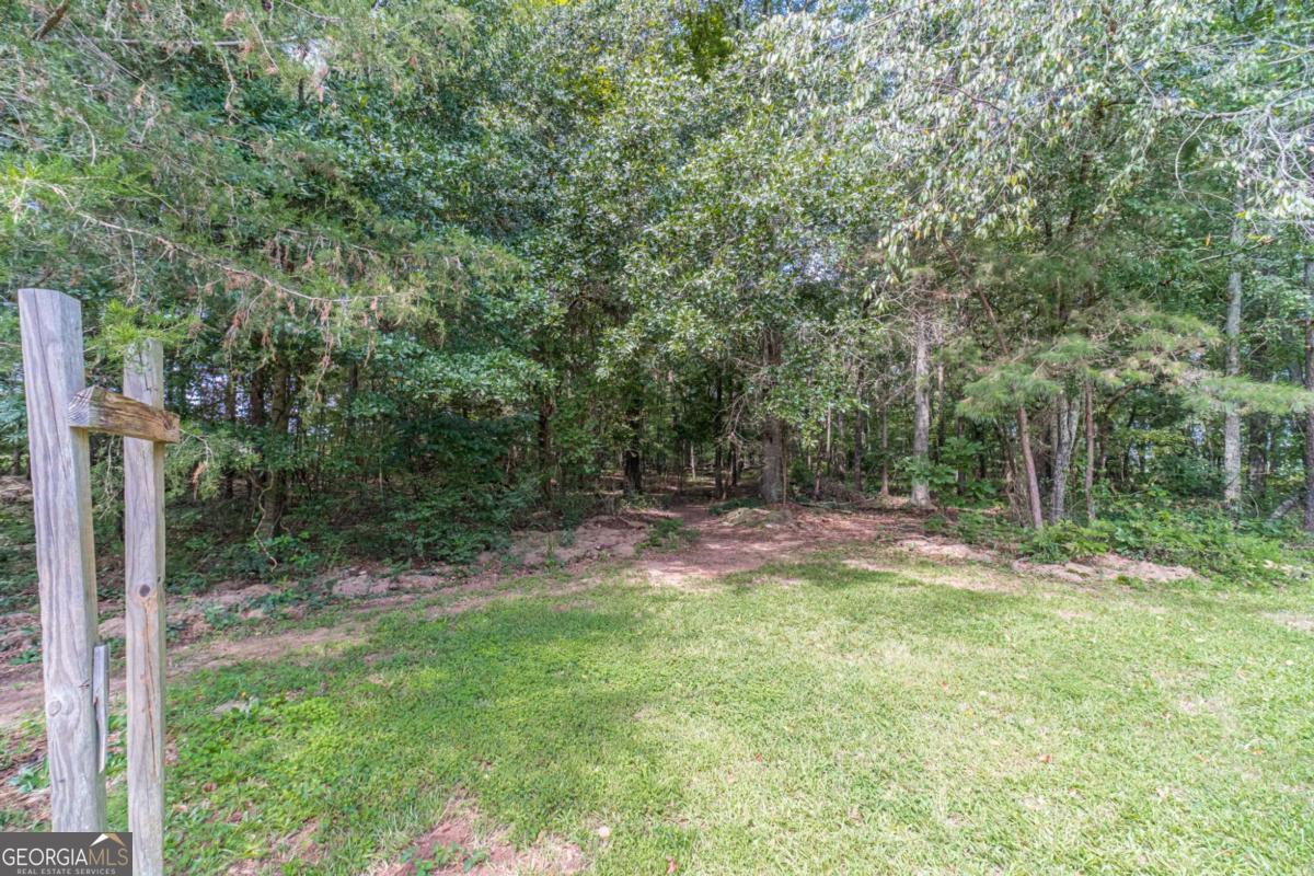 2301 Matt Michell Lane Property Photo 43