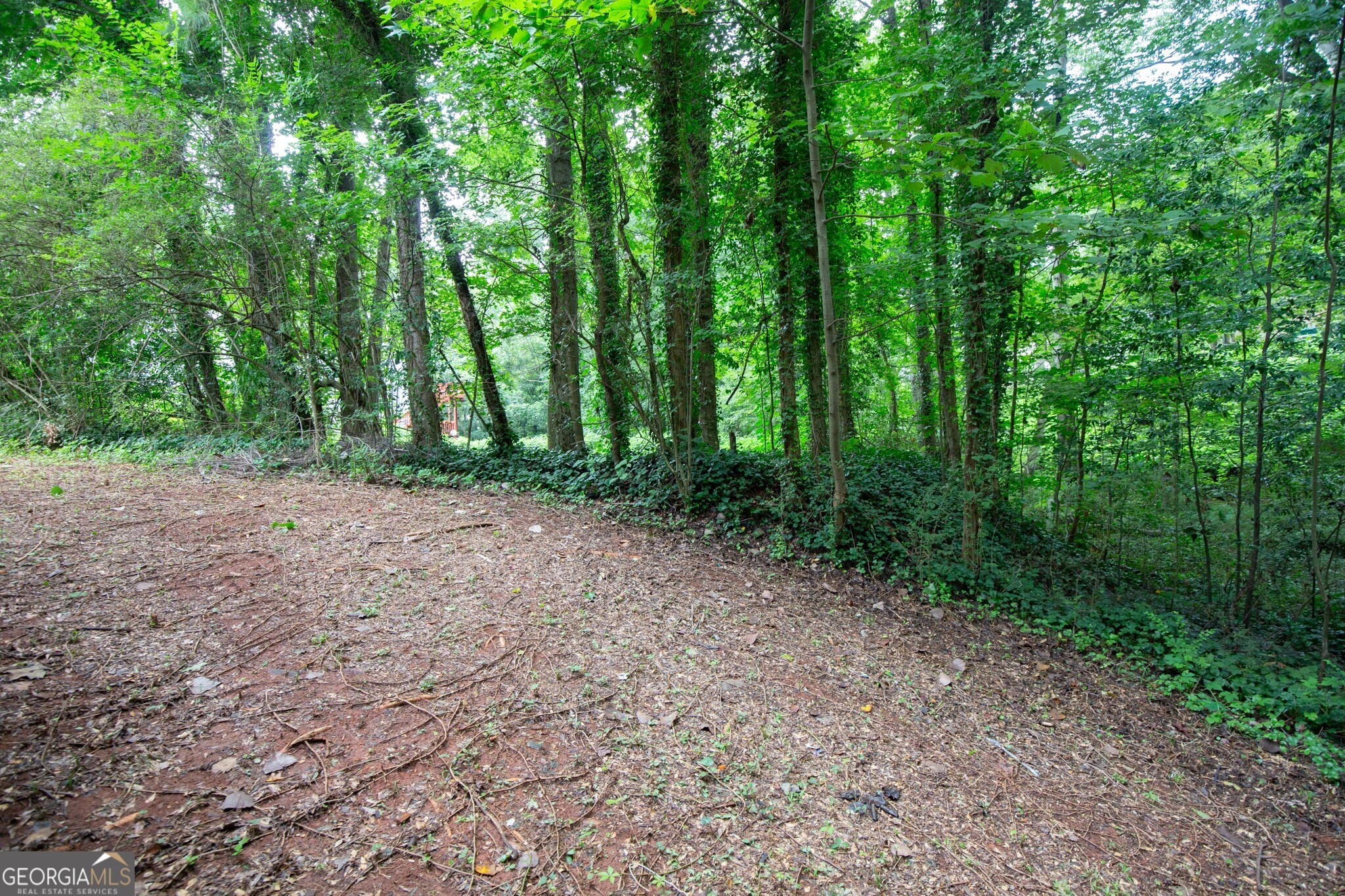 2262 Cobb Creek Drive Property Photo 38
