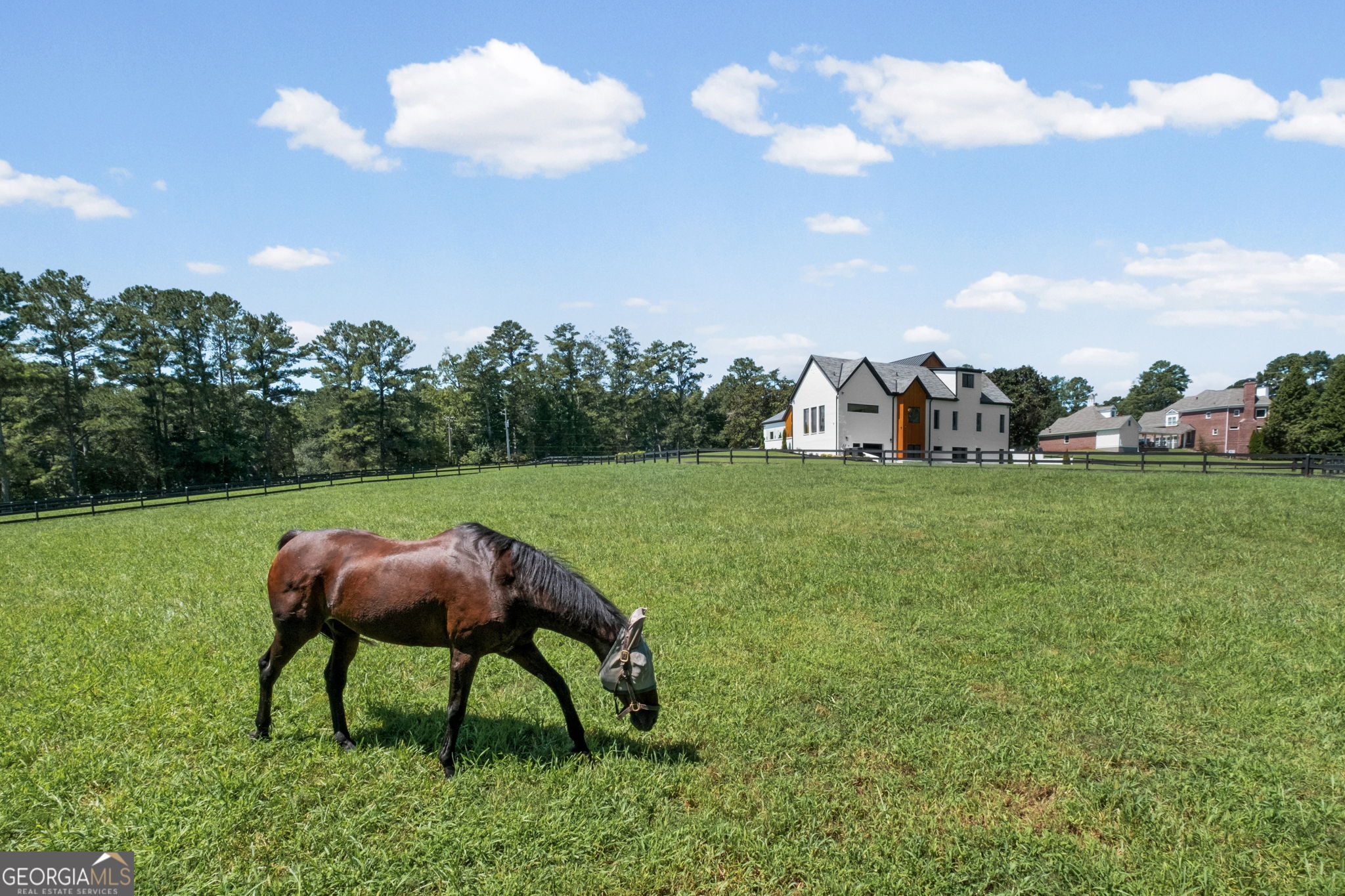 14735 Wood Road Property Photo 100