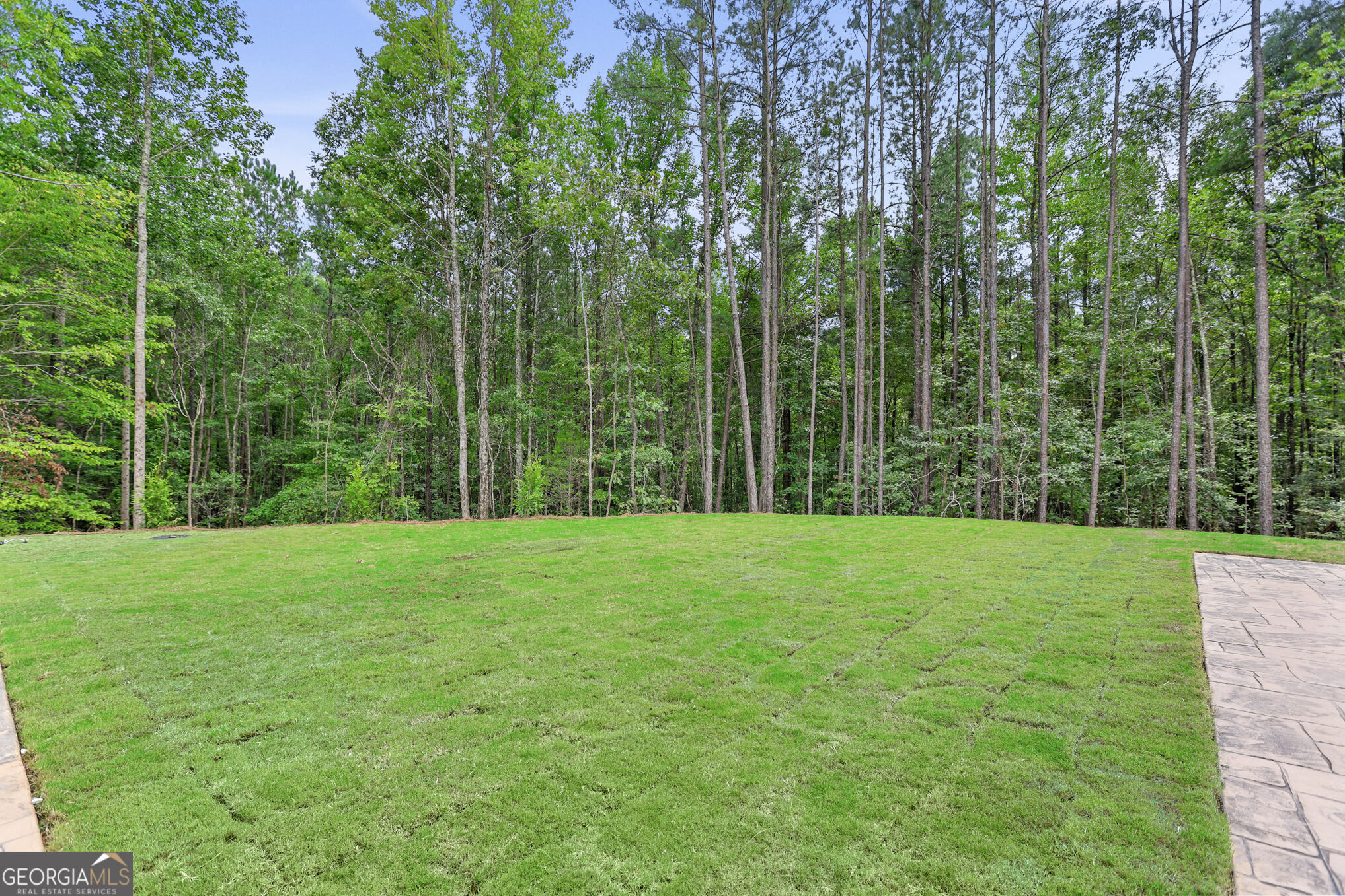 9800 Cedar Grove Road Property Photo 117
