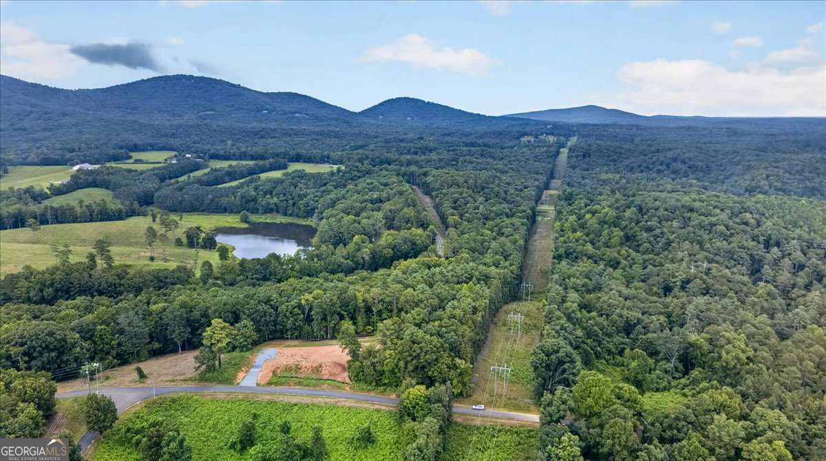 1395 Cowart Mountain Road Property Photo 2