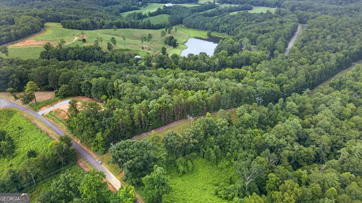 1395 Cowart Mountain Road Property Photo 4