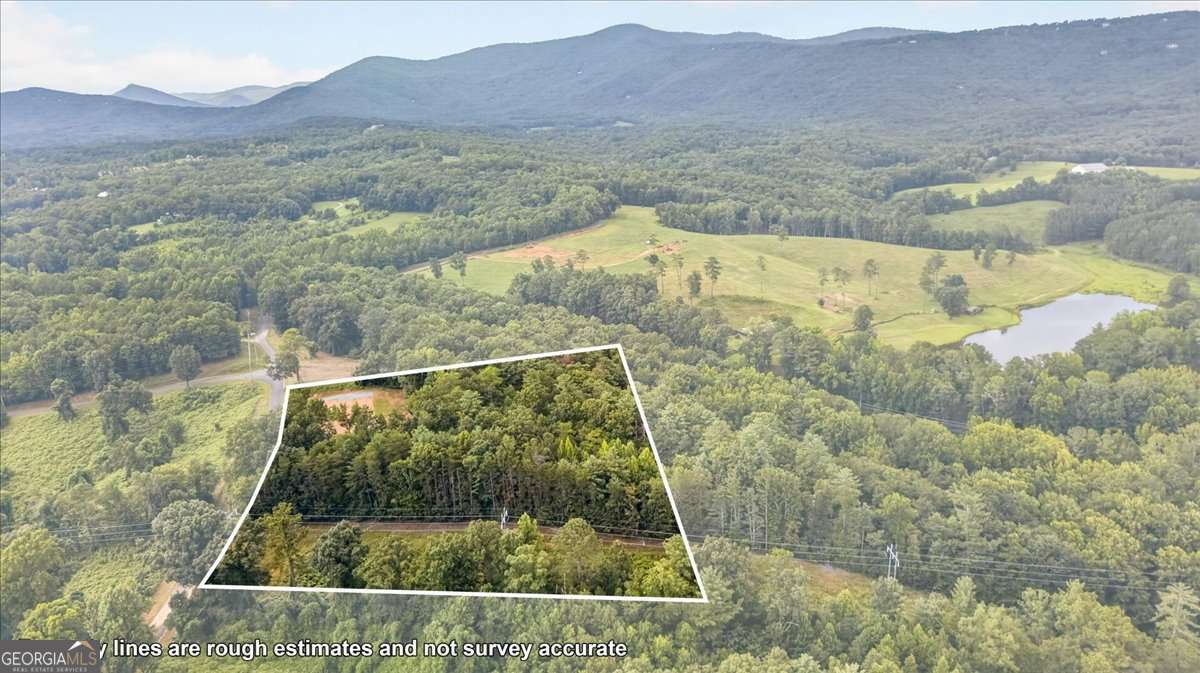1395 Cowart Mountain Road Property Photo 5