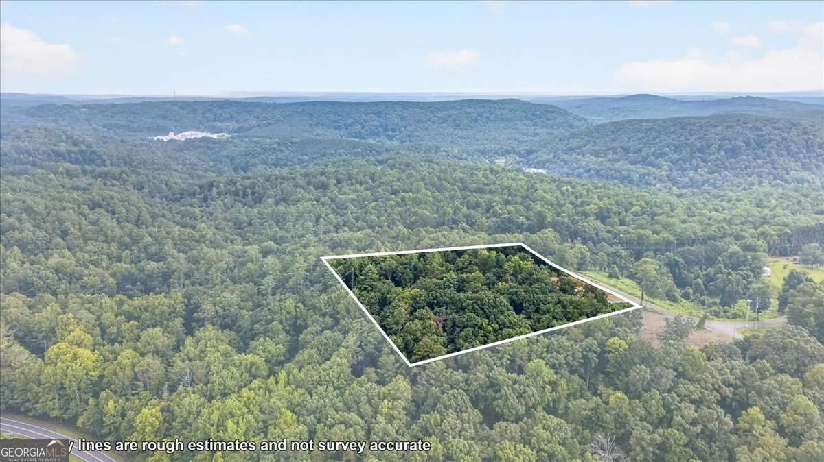 1395 Cowart Mountain Road Property Photo 8