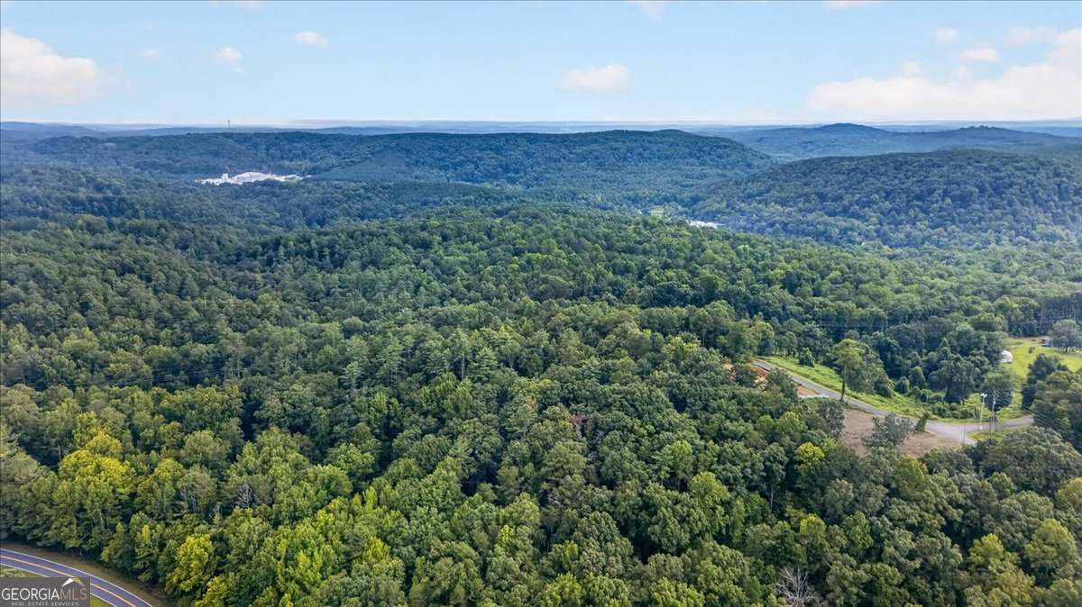 1395 Cowart Mountain Road Property Photo 9