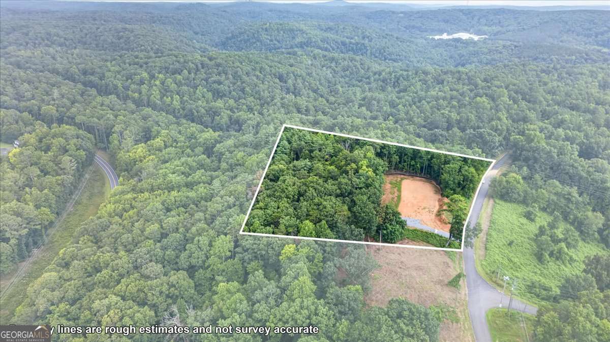 1395 Cowart Mountain Road Property Photo 10