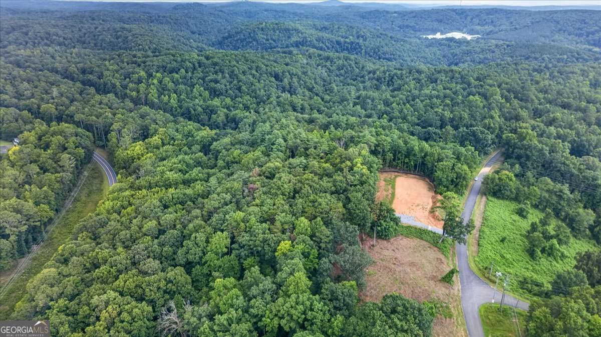 1395 Cowart Mountain Road Property Photo 11