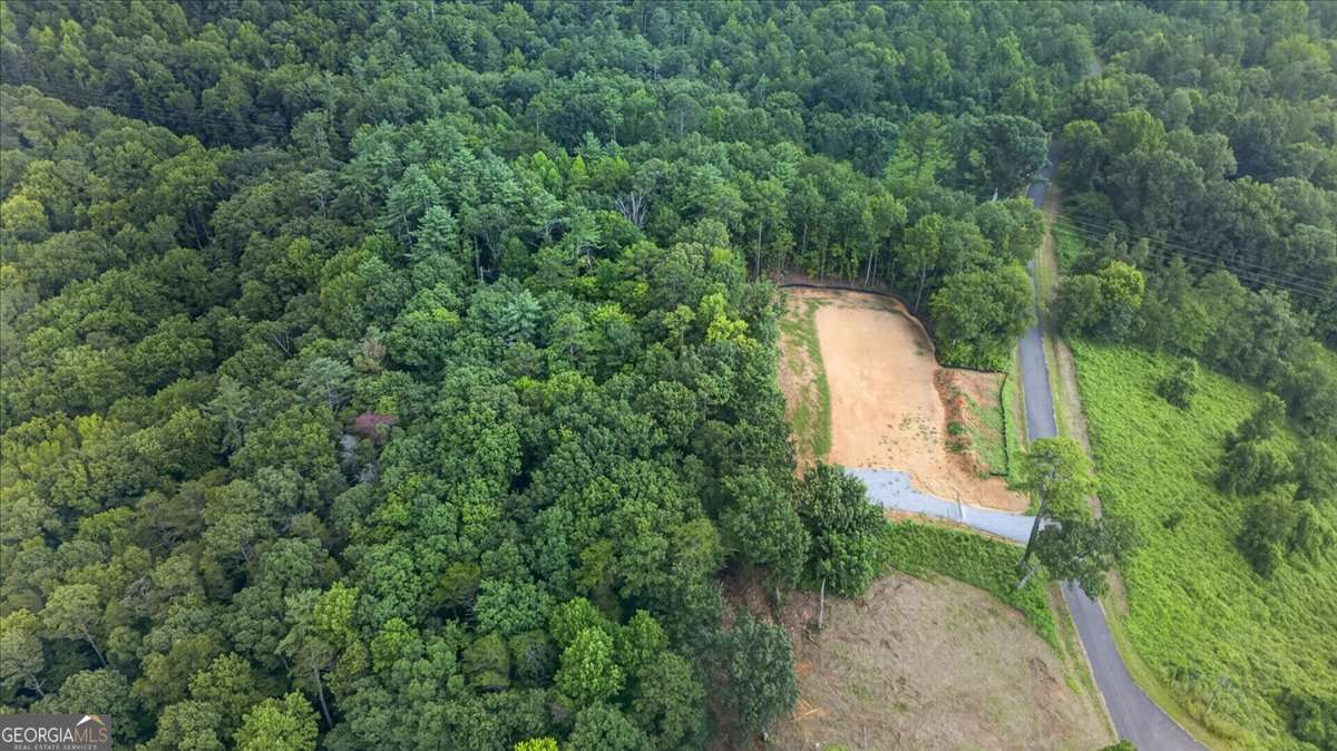 1395 Cowart Mountain Road Property Photo 13