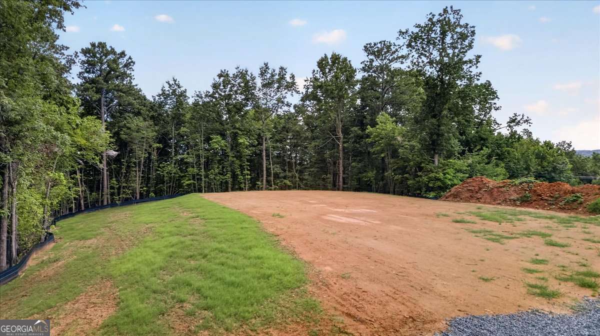 1395 Cowart Mountain Road Property Photo 19