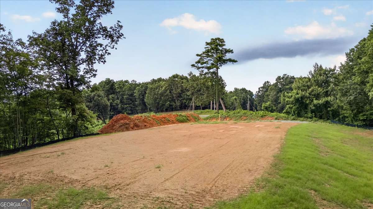 1395 Cowart Mountain Road Property Photo 21
