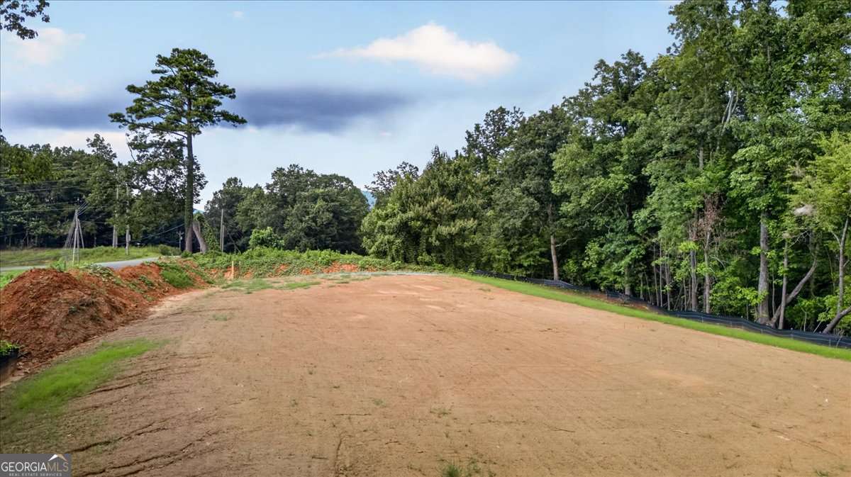 1395 Cowart Mountain Road Property Photo 22