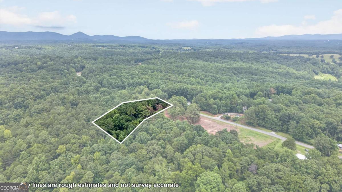 730 Lower Dowda Mill Road Property Photo 6