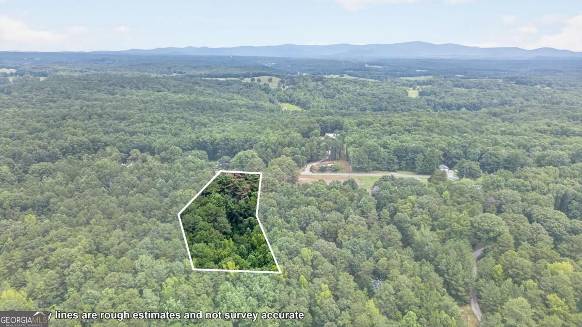 730 Lower Dowda Mill Road Property Photo 8