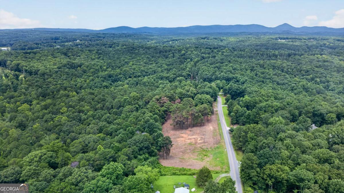 792 Lower Dowda Mill Road Property Photo 8