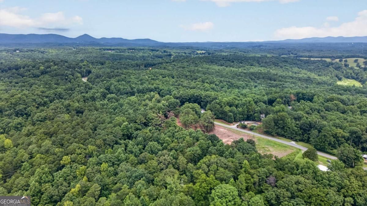 792 Lower Dowda Mill Road Property Photo 10