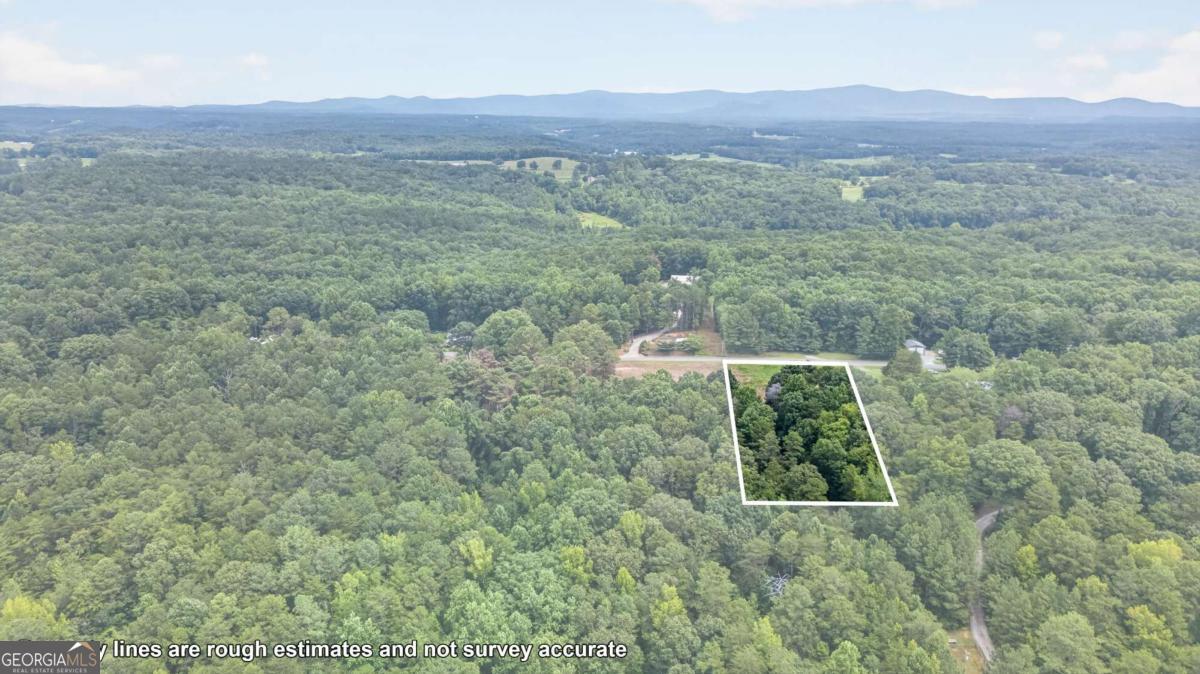 792 Lower Dowda Mill Road Property Photo 11