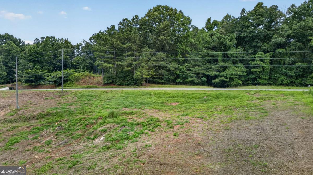 792 Lower Dowda Mill Road Property Photo 16