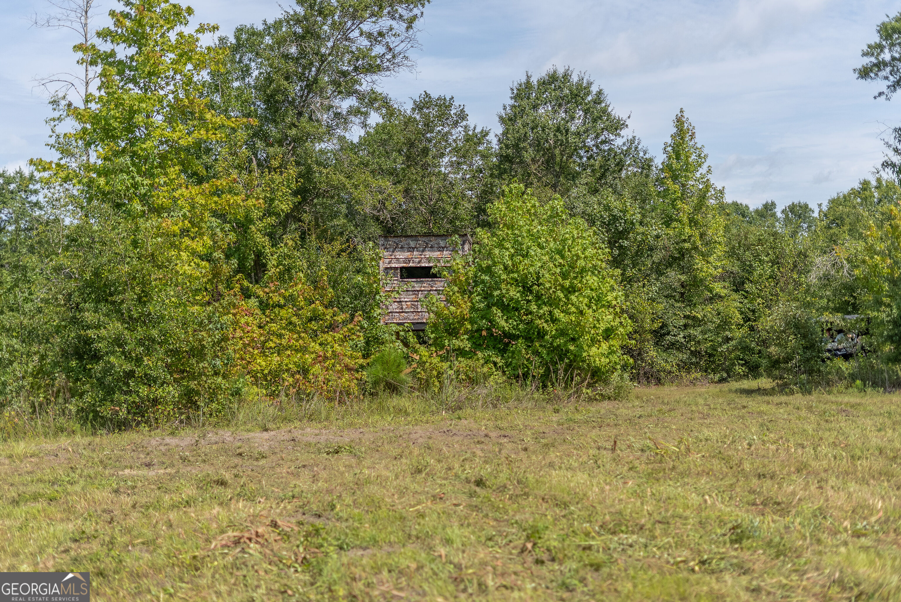 0 Nicholson-carr Road Property Photo 26