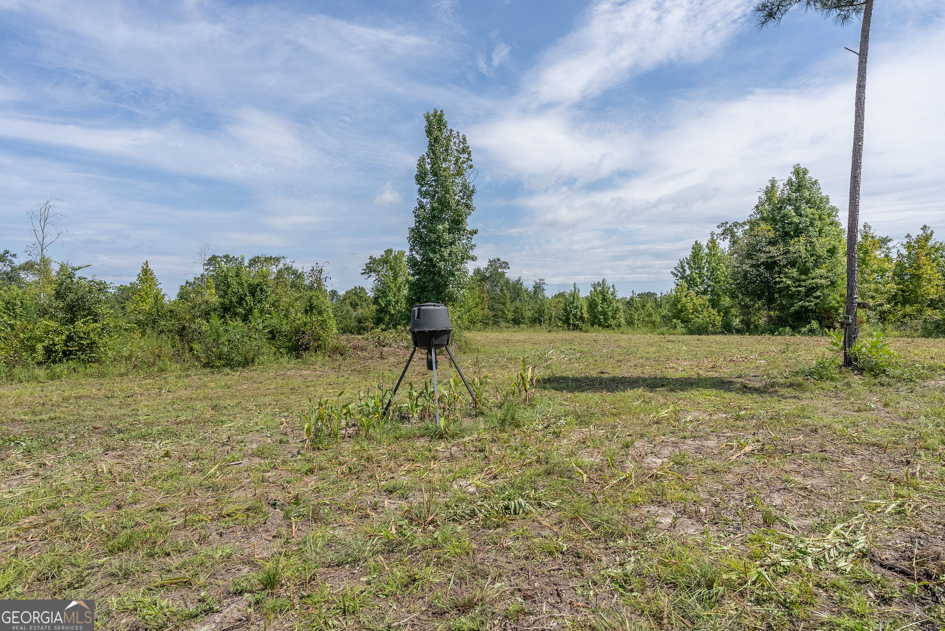 0 Nicholson-carr Road Property Photo 30