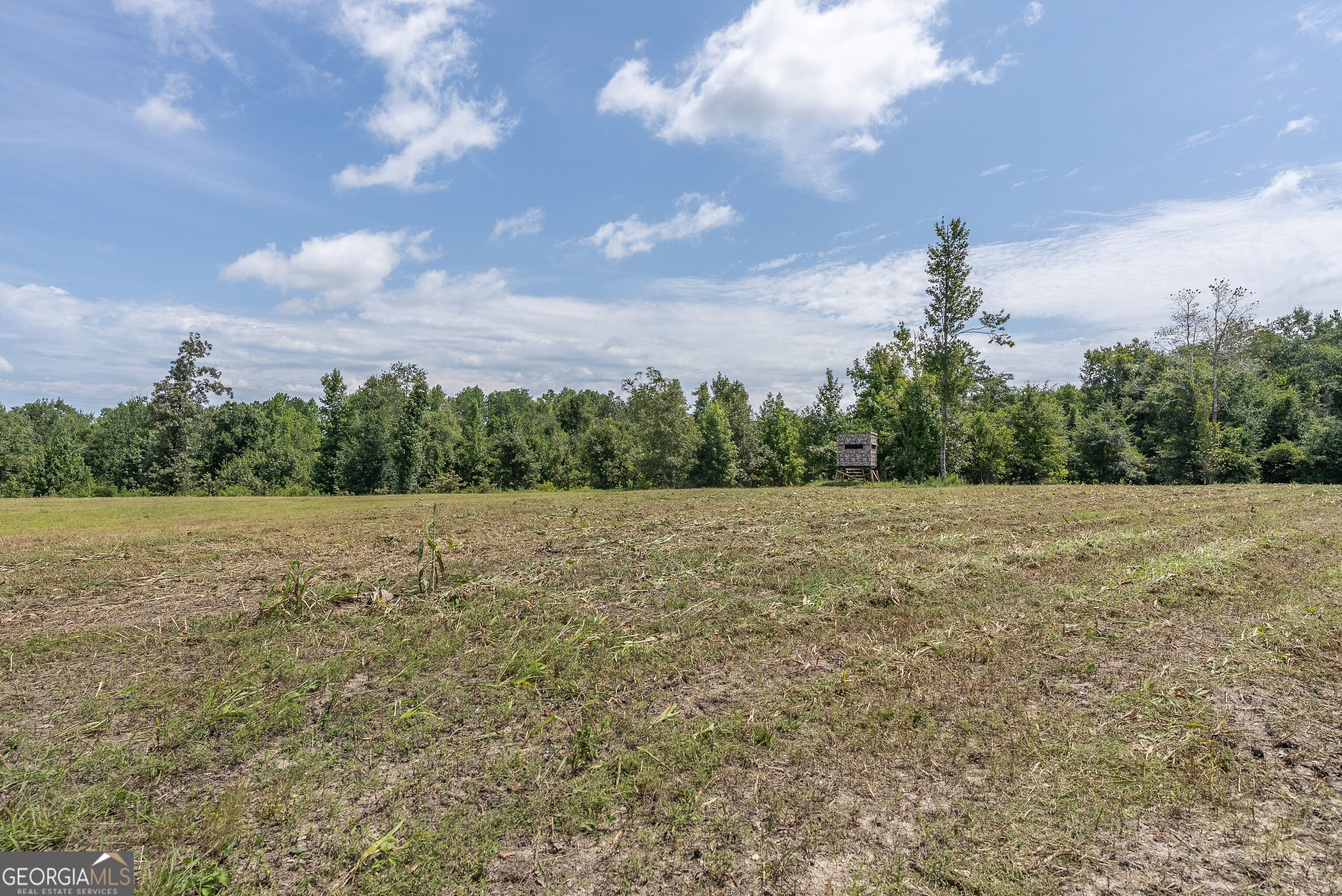 0 Nicholson-carr Road Property Photo 31