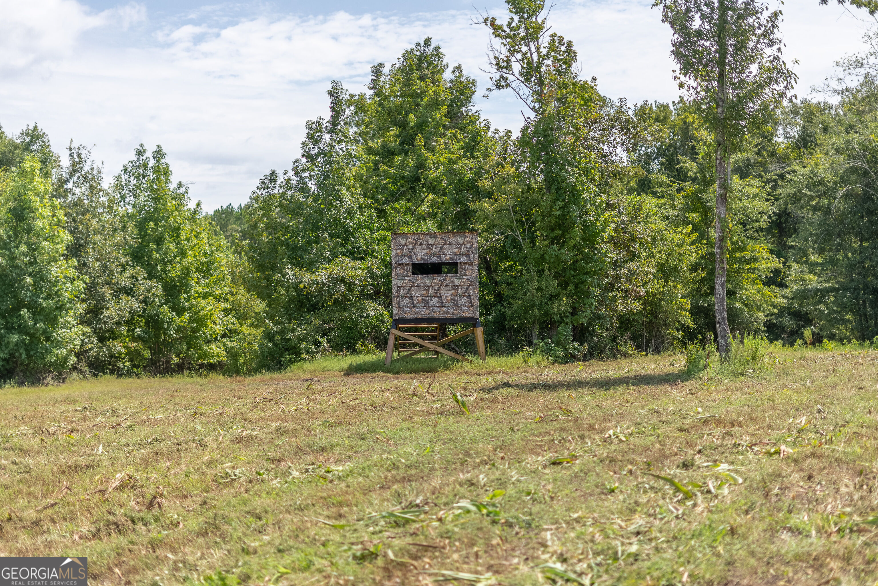 0 Nicholson-carr Road Property Photo 36