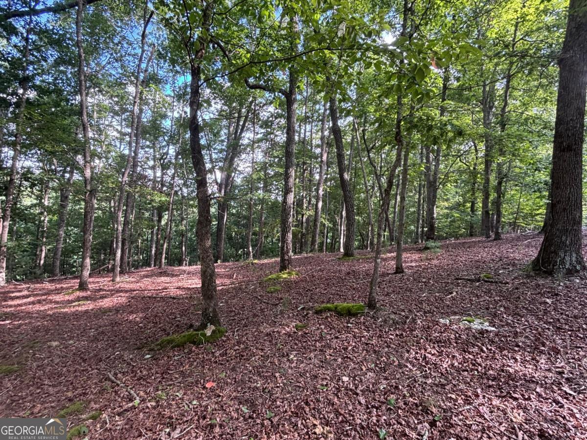 Lot 5 Westwood Avenue # 5 Property Photo 1