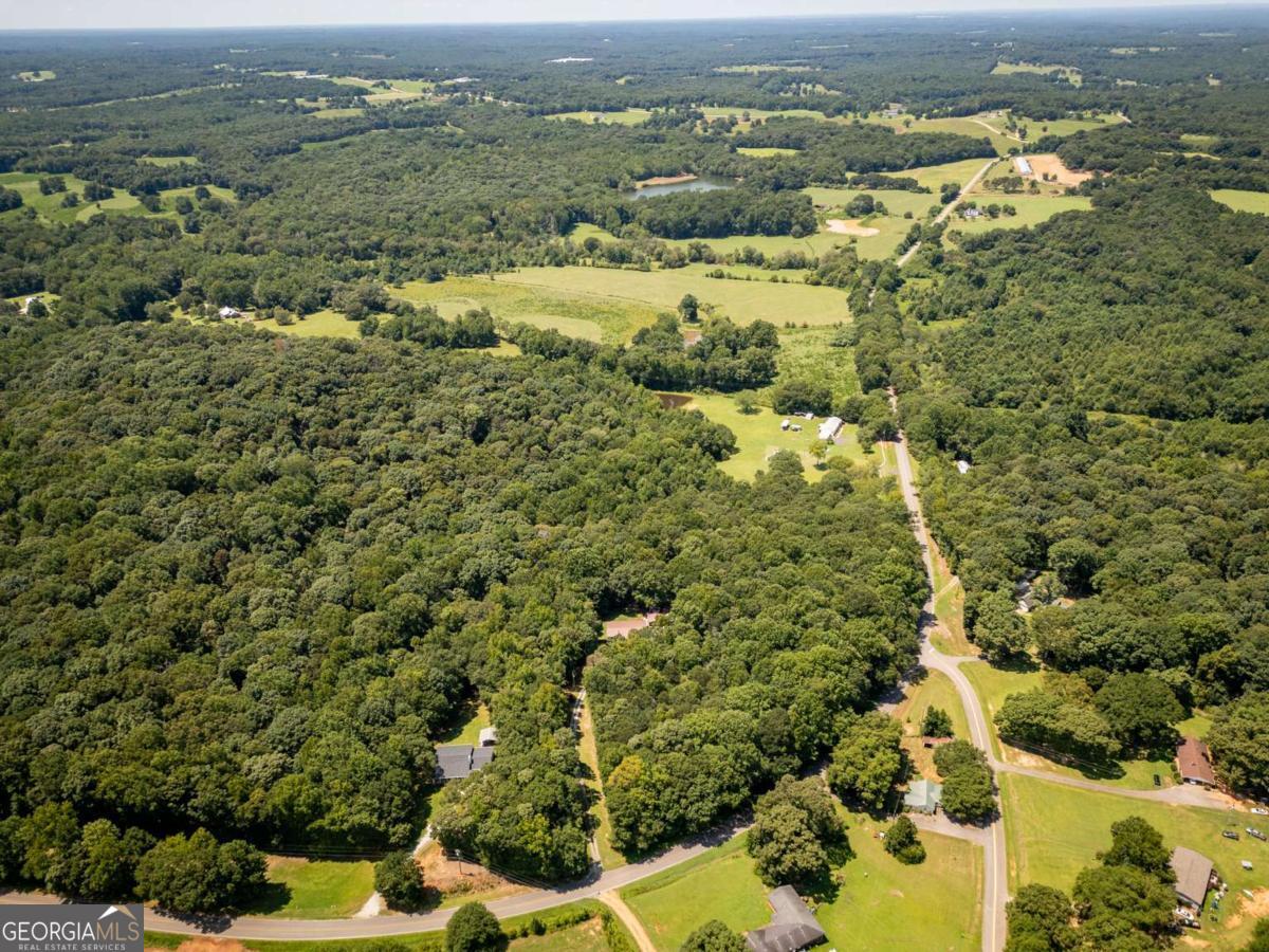 1425 Shiloh Fort Lamar Road Property Photo 42