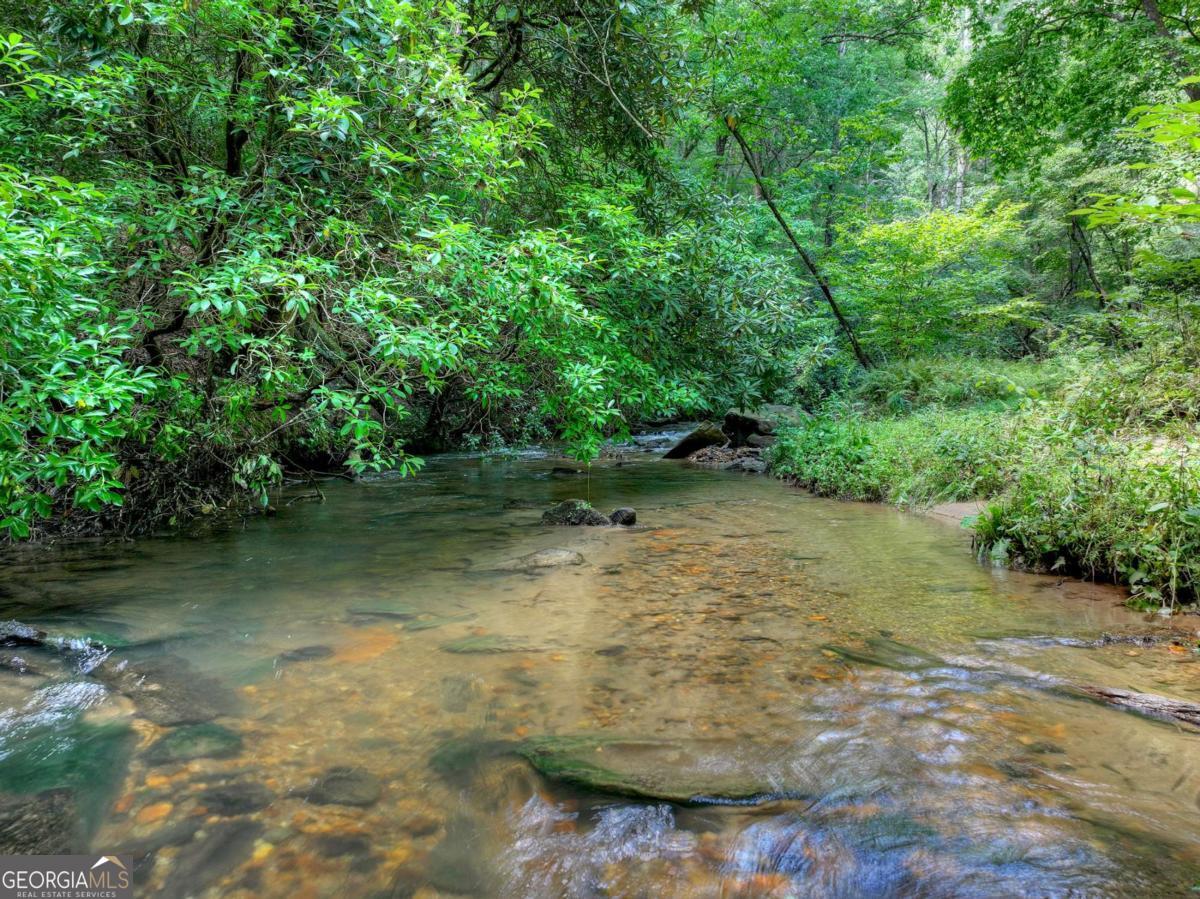 20 Bear Trail Property Photo 5