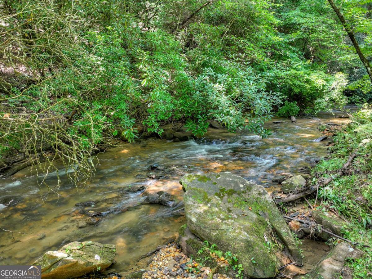 20 Bear Trail Property Photo 6