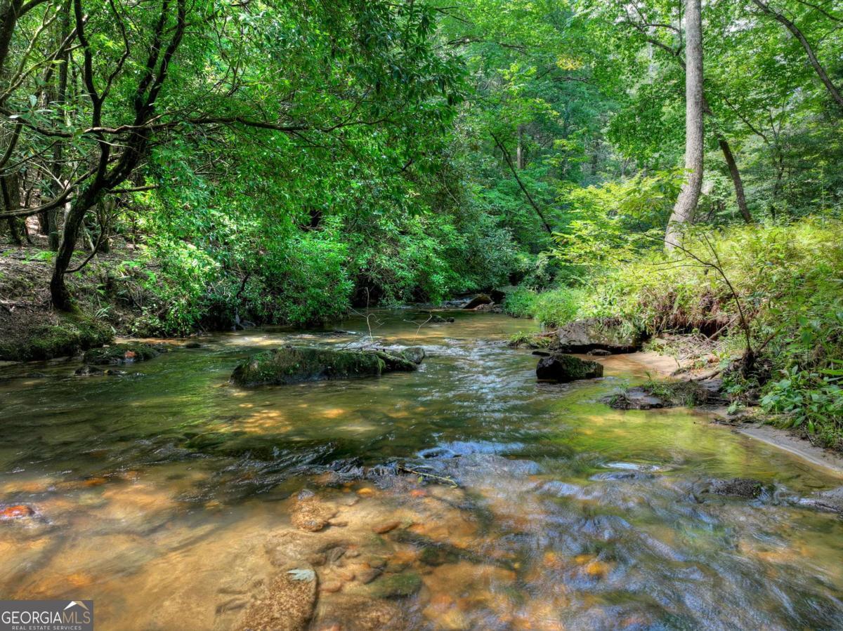 20 Bear Trail Property Photo 43