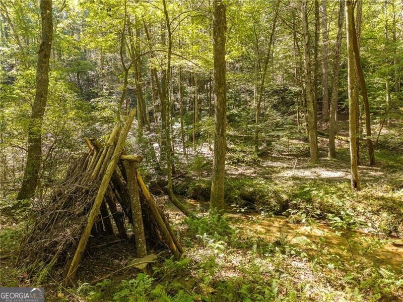 20 Bear Trail Property Photo 83