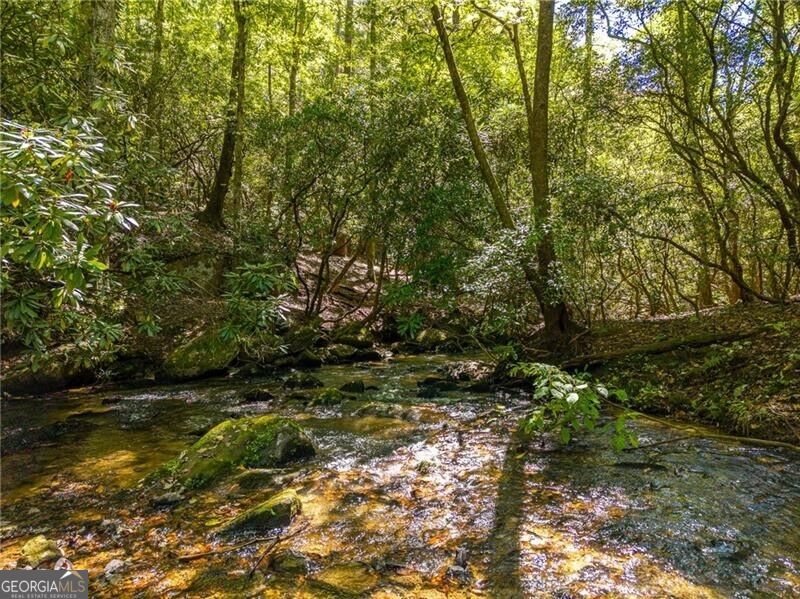 20 Bear Trail Property Photo 85