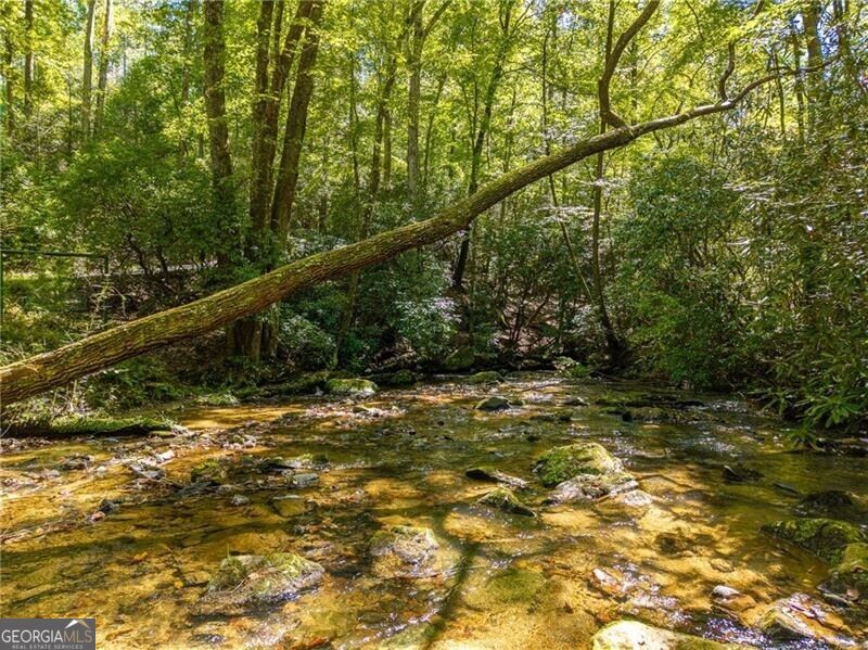 20 Bear Trail Property Photo 86