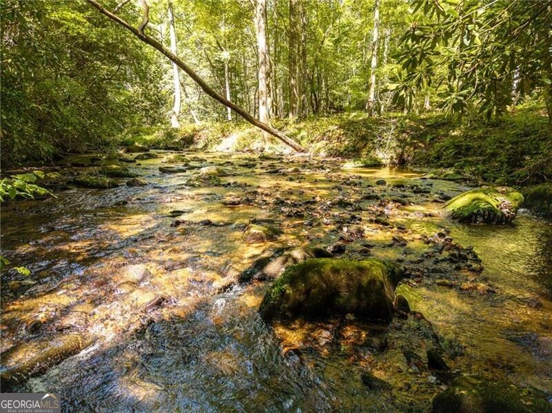 20 Bear Trail Property Photo 87