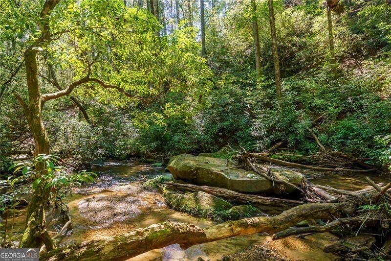 20 Bear Trail Property Photo 91