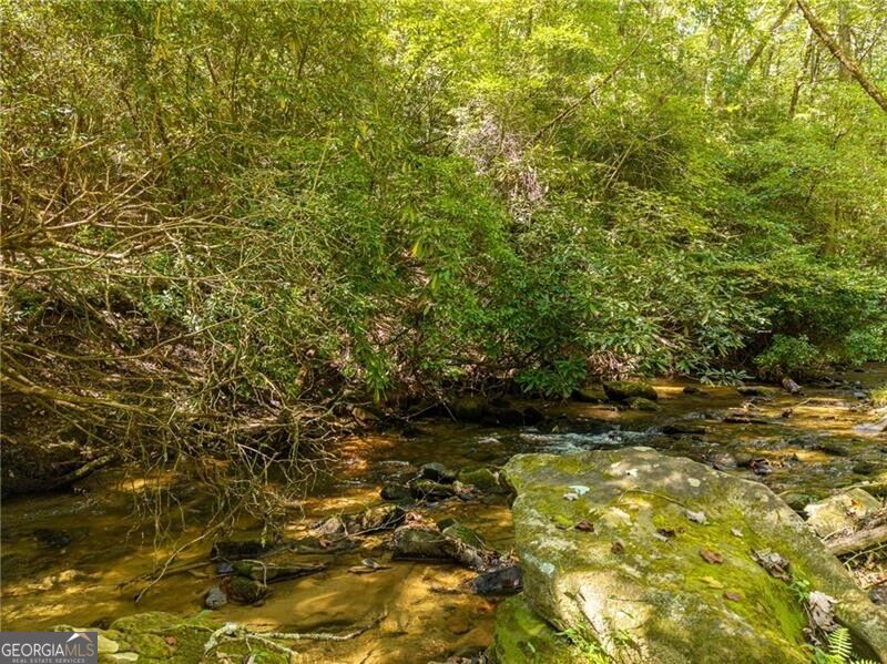20 Bear Trail Property Photo 93