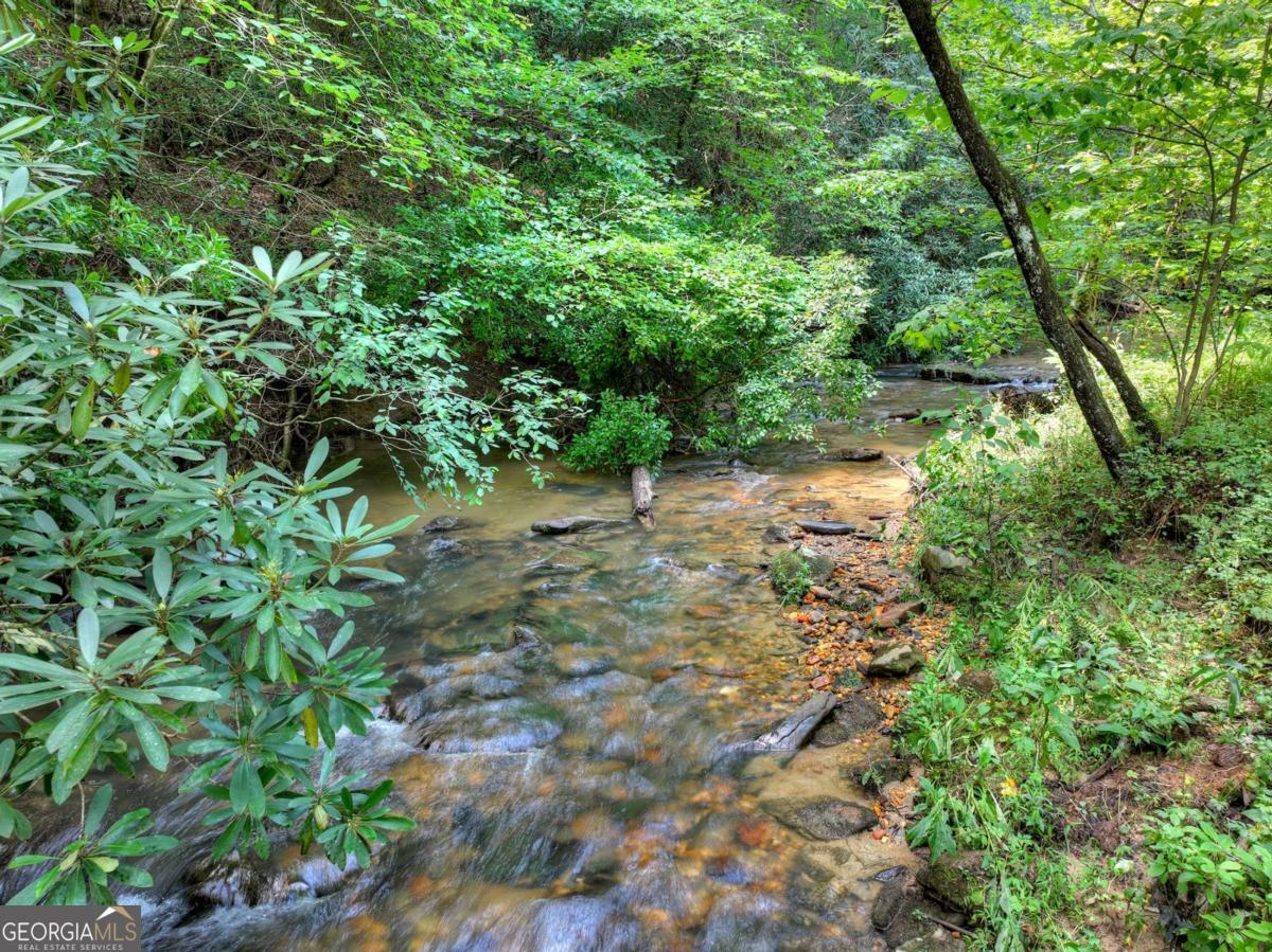 20 Bear Trail Property Photo 187