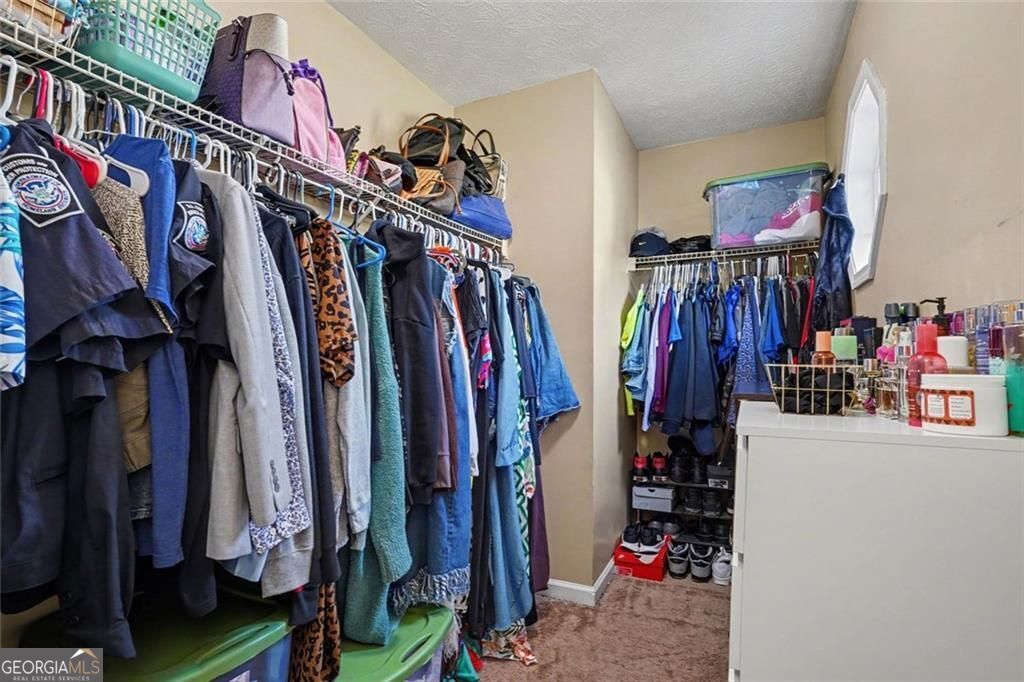2809 Mill Lake Way Property Photo 12