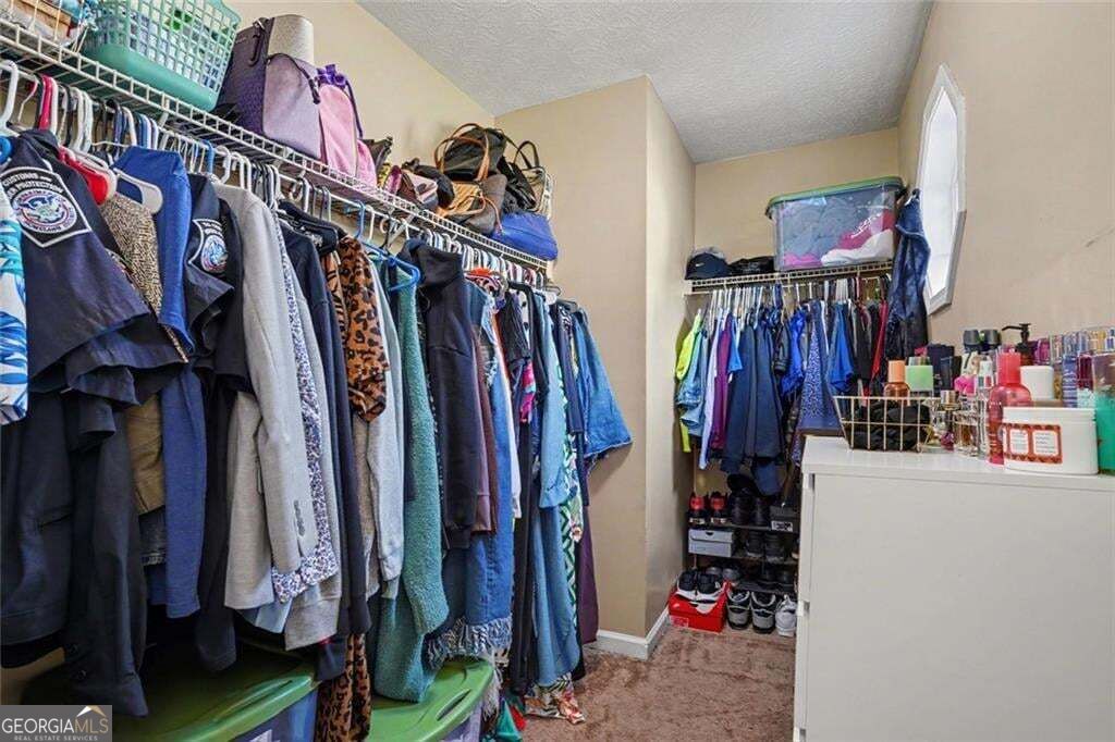2809 Mill Lake Way Property Photo 12