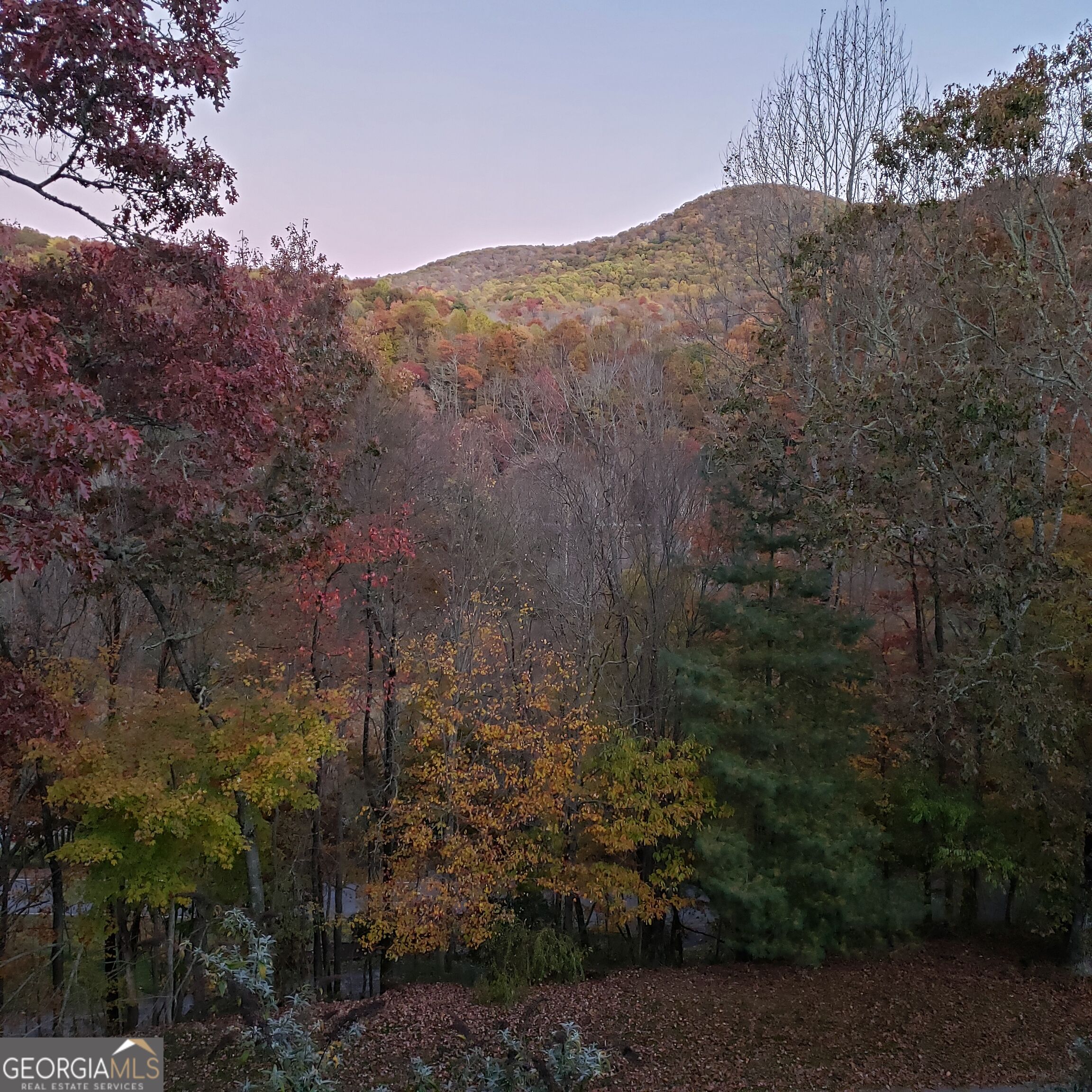 70 Spy Glass Circle Property Photo 61