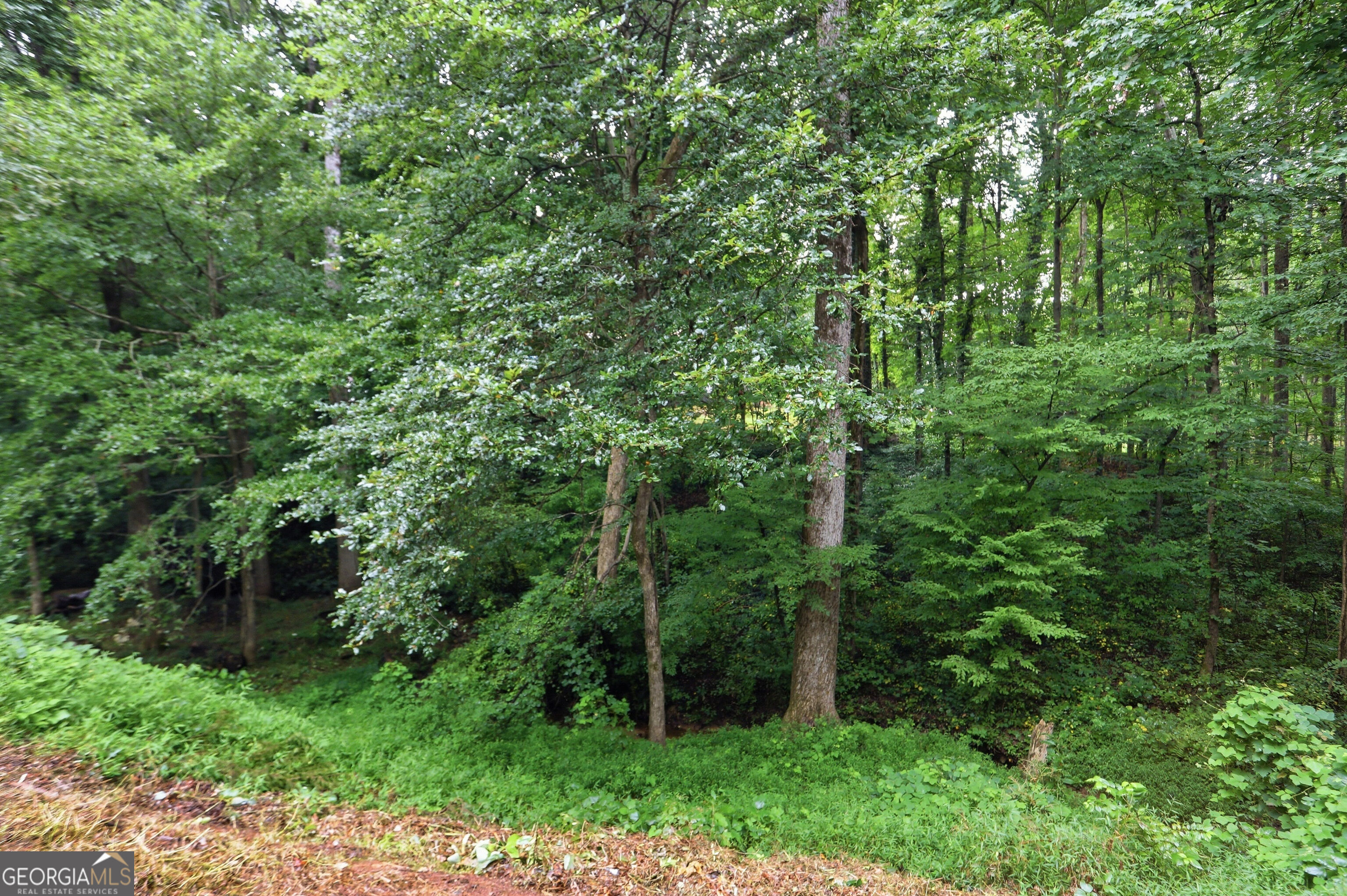 10283 Freehome Highway Property Photo 31