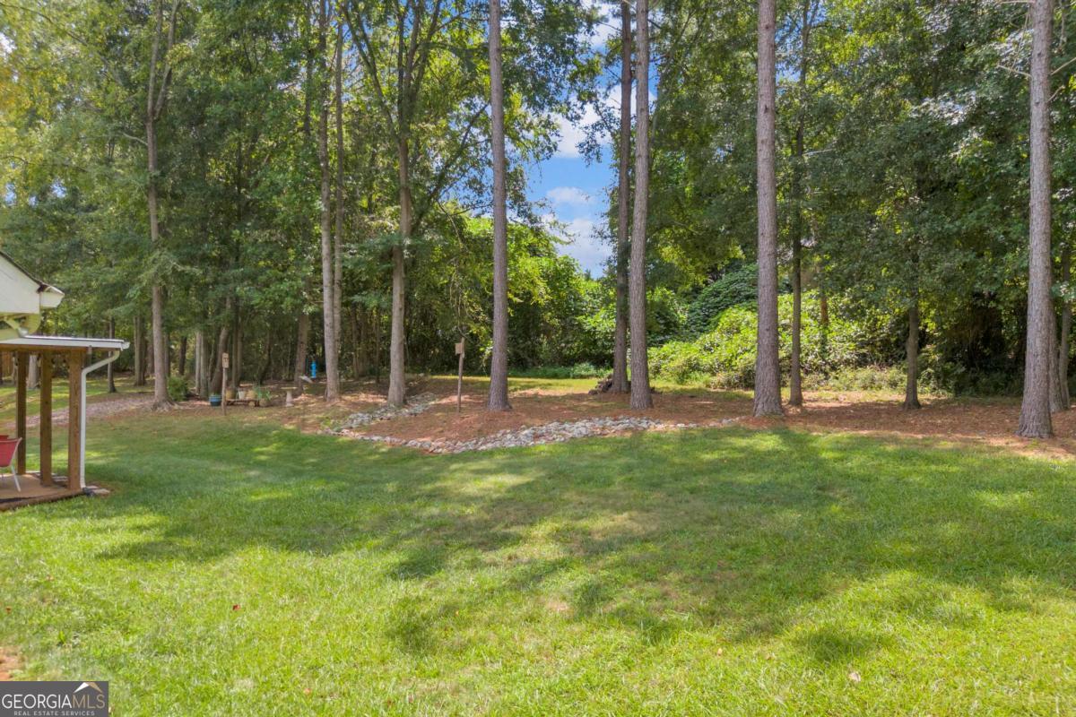 388 Belmont Park Drive Property Photo 29