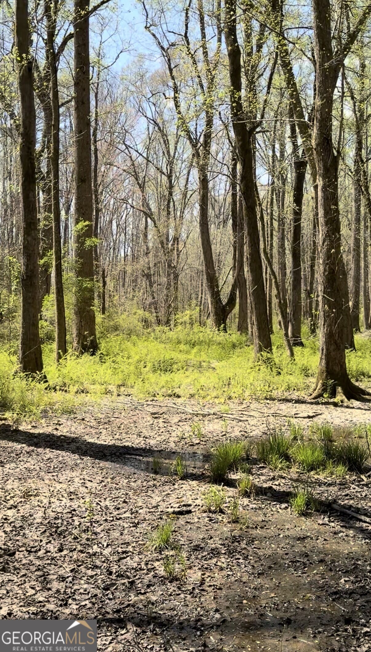 0 Ike Stone Property Photo 3