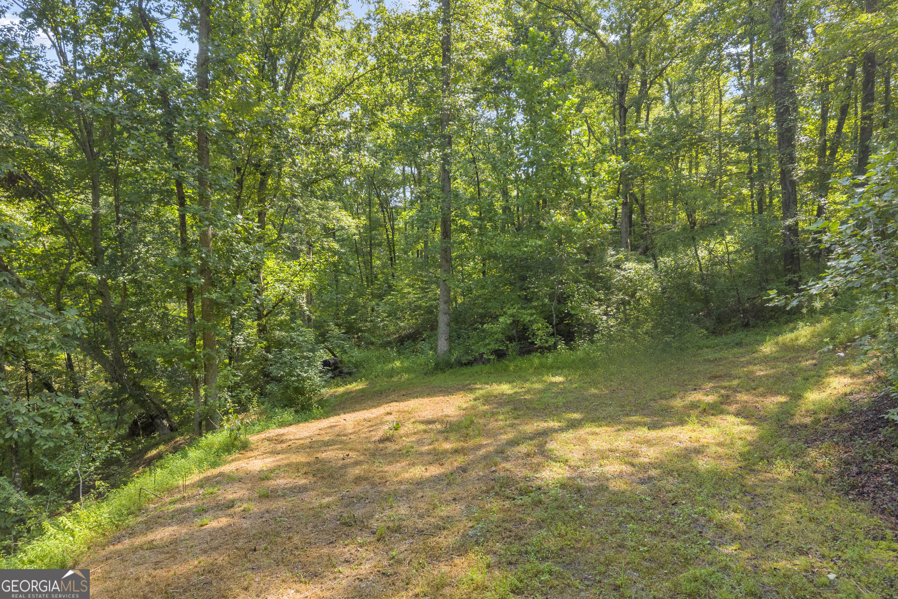 0 Waters Edge Trail Property Photo 8